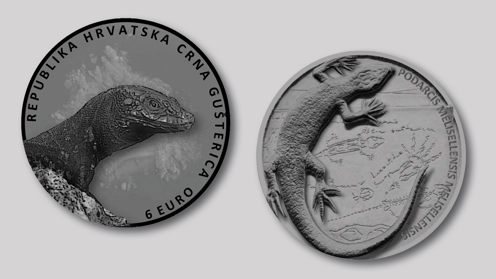 Collector coin Collector coin